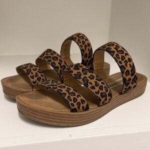 Steve Madden Leopard Print Triple-Strap Slide Sandals - Tan/Black